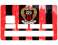 Sticker CB OGC Nice pour carte bancaire