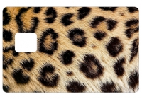 Sticker CB L&eacute;opard pour carte bancaire