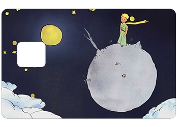Sticker CB Petit Prince avec d&eacute;coupe pour la PUCE UNIQUEMENT