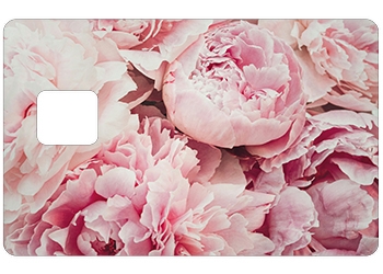 Sticker CB Pivoine avec découpe pour la PUCE UNIQUEMENT