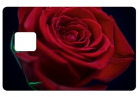 Sticker CB pour carte bancaire Rose Rouge